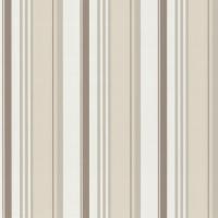купить P+S International Delight 03883-50