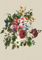 купить A.S.Creation Kind of white DD100811