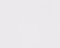 купить A.S.Creation Lovely Friends 30334-1