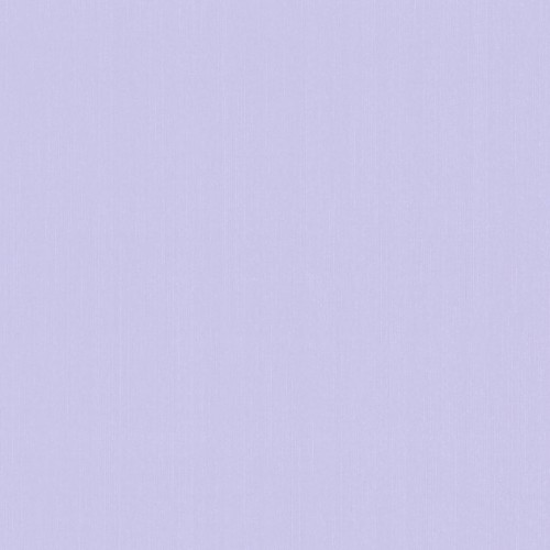купить P+S International Delight 03882-40