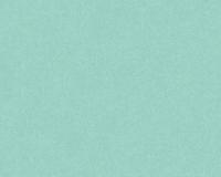 купить A.S.Creation Colibri 36629-4