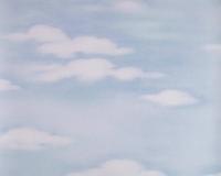 купить A.S.Creation Decora Natur 4 798121