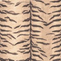 купить Erismann Sambesi 5900-11