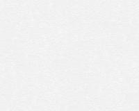 купить A.S.Creation Meistervlies Protect 2 248718