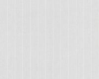 купить A.S.Creation Meistervlies 4 6449-16 / 6448-17