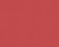 купить A.S.Creation Meistervlies 5 3095-94