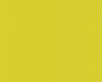 купить A.S.Creation Colour Courage 805621