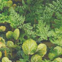 купить Rasch Tiles & More 2014 824704