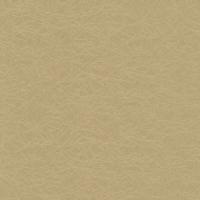 купить P+S International Tresor 42040-50