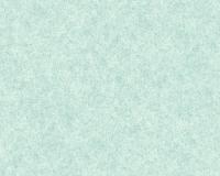 купить A.S.Creation Neue Bude 2.0 36207-7