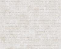 купить A.S.Creation Djooz 956731