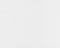 купить A.S.Creation White & Colours 884114