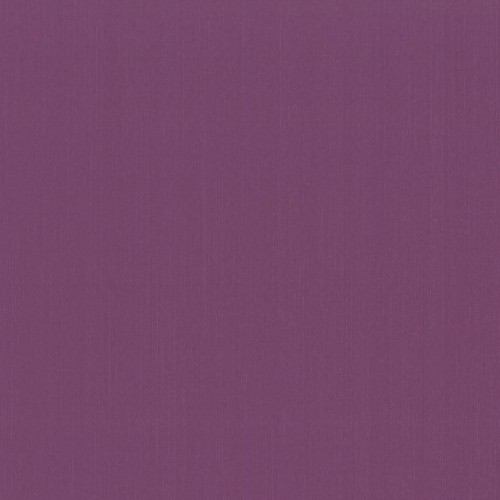купить P+S International Delight 03882-30