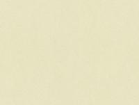 купить A.S.Creation Vernissage 909640