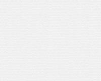 купить A.S.Creation Maistervlies 2020 96131-0