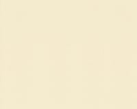 купить A.S.Creation Palazzo 928542