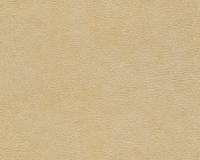 купить A.S.Creation Kind of white 34079-9