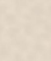 купить Rasch Diamond Dust 2016 903256 (450651)