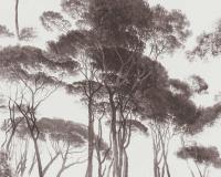 купить A.S.Creation History of Art 37651-1