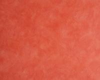 купить A.S.Creation Styleguide Natuerlich 882868