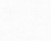 купить A.S.Creation Neue Bude 2.0 36206-6