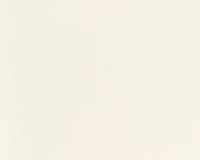 купить A.S.Creation Swing Line 934721