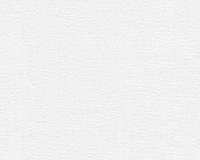 купить A.S.Creation Meistervlies Protect 2 245113