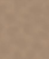 купить Rasch Diamond Dust 2016 903263 (450668)