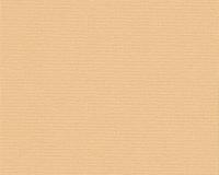 купить A.S.Creation Fioretto 2 957252