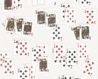 купить A.S.Creation Dekora Natur 5 298119