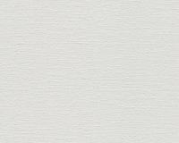 купить A.S.Creation Maistervlies 2020 10391-8