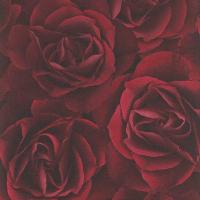 купить Rasch Crispy Paper 525625