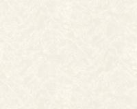 купить A.S.Creation Moderno 61612-8