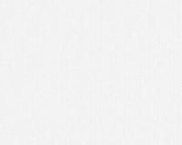 купить A.S.Creation Maistervlies 2020 30581-7