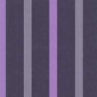 купить P+S International Orpheo 2014 13093-10