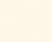 купить A.S.Creation Esprit 6 219824