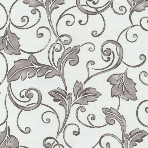 купить P+S International Intense 02260-42