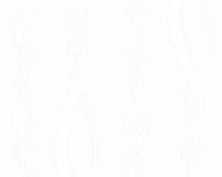 купить A.S.Creation Zanzibar 889843