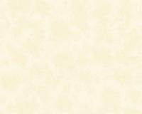 купить A.S.Creation Caroline 841360