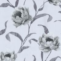 купить P+S International Graziosa 42123-50 / 42123-52