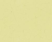 купить A.S.Creation Brigitte 4 944354