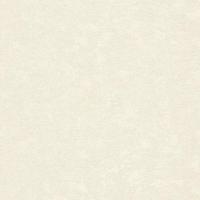 купить Rasch Deco Style 926972