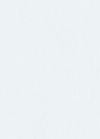 купить Erismann Loft No. 1 5252-01 купить Erismann Loft No. 1 5252-01