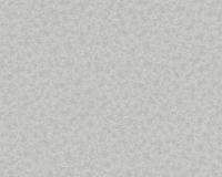 купить AS Creation Hermitage 9 94386-3 купить AS Creation Hermitage 9 94386-3