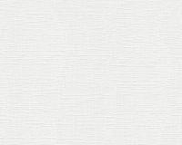 купить A.S.Creation Meistervlies Protect 2 250513