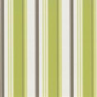 купить P+S International Delight 03883-40
