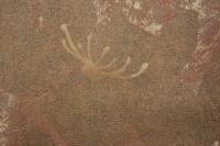 купить Marburg Esterel 50649