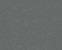 купить A.S.Creation Titanium 8818-30