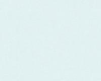 купить A.S.Creation Scandinavian Style 34138-6