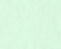 купить A.S.Creation Cozz 36299-5